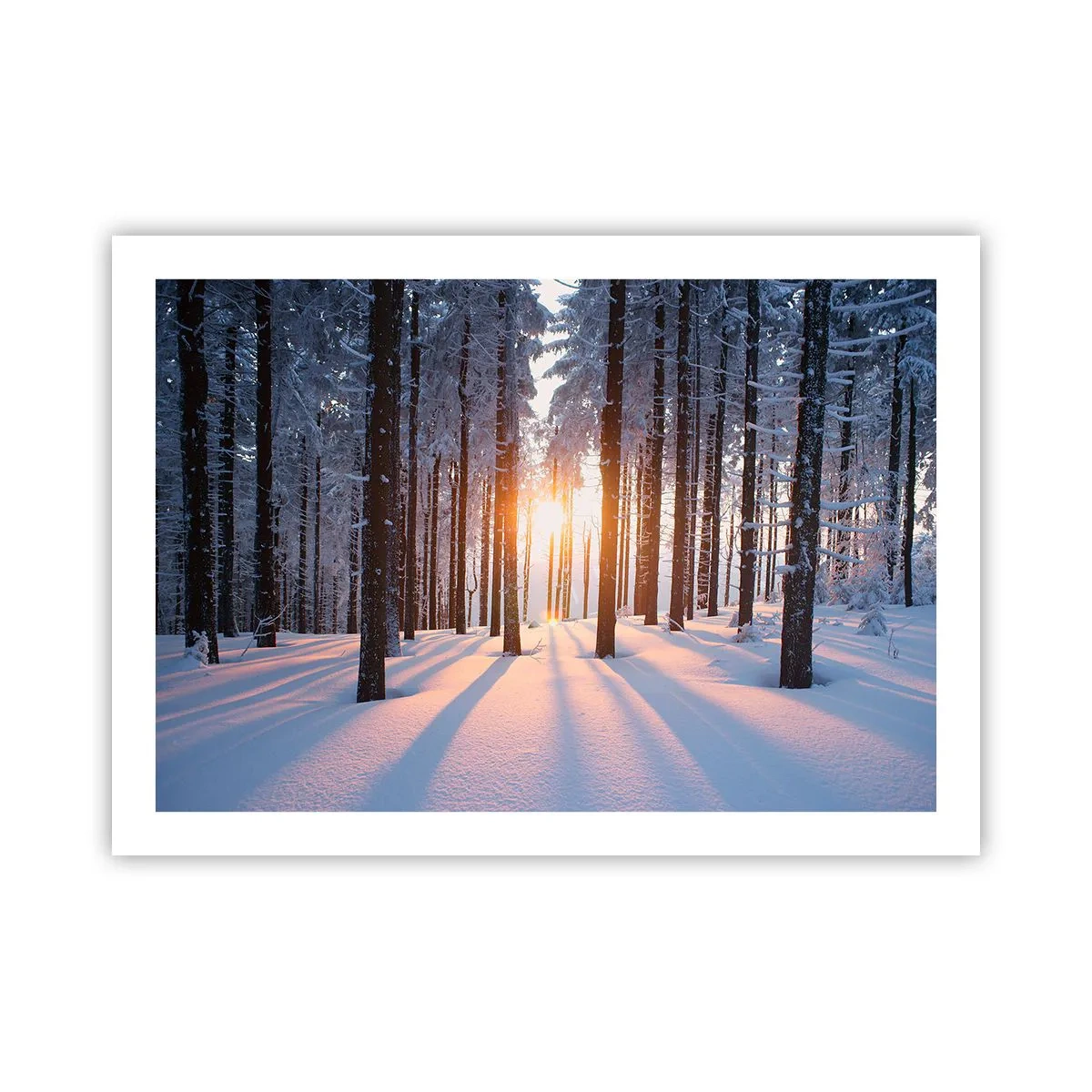 Poster - În mod clar în alb și negru - 70x50 cm