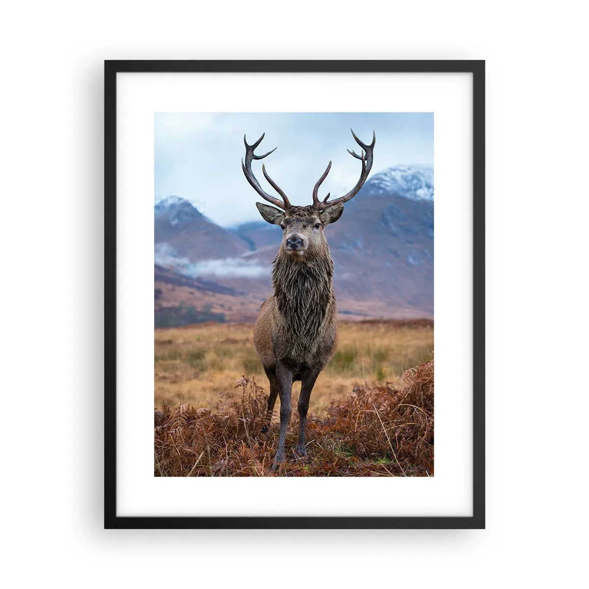 Poster în ramă neagră - Pe propriul lui teritoriu - 40x50 cm