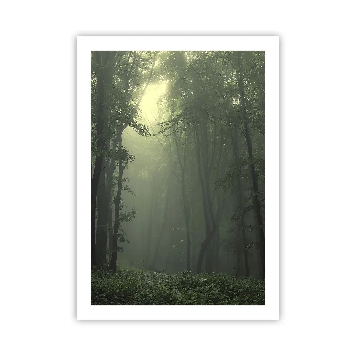 Poster - Înainte să se trezească - 50x70 cm