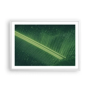 Poster în ramă albă - Structura verdelui - 70x50 cm