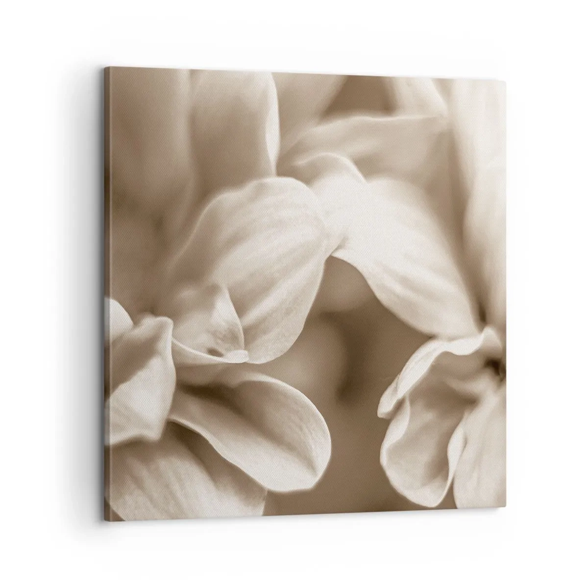 Tablou pe pânză - Blânde ca un zâmbet - 60x60 cm