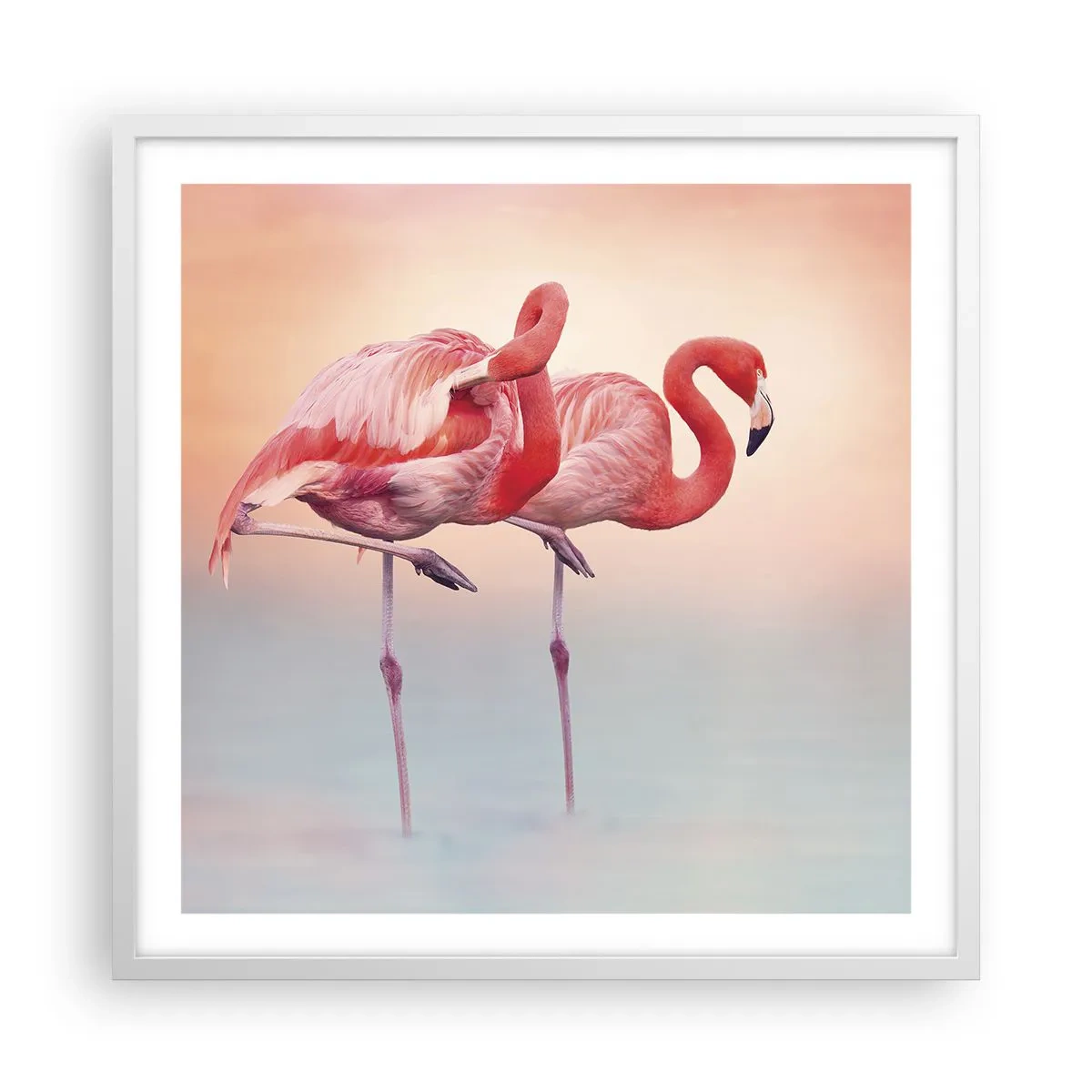 Poster în ramă albă - În culoarea soarelui care apune - 60x60 cm