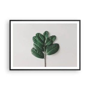 Poster în ramă neagră - Desenul naturii însăși - 100x70 cm