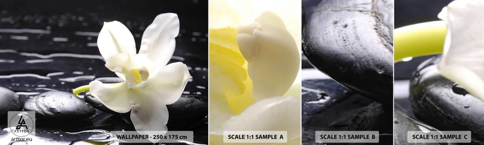 Mostră de Tapet Standard Eco - Studiu în alb și negru - Flori, Pietre, Orhidee - 100x30 cm