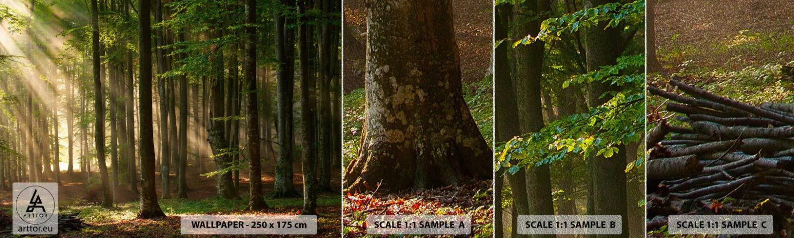 Mostră tapet Premium Sand - Strălucitoare într-o dimineață de primăvară - Peisaj, pădure, Parc - 100x30 cm