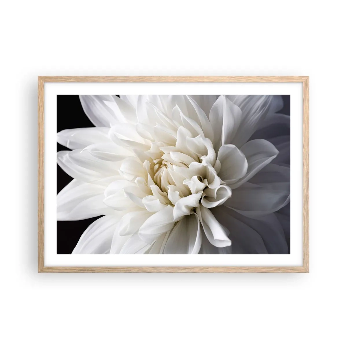 Poster în ramă de stejar deschis - Dimineața miresei - 70x50 cm