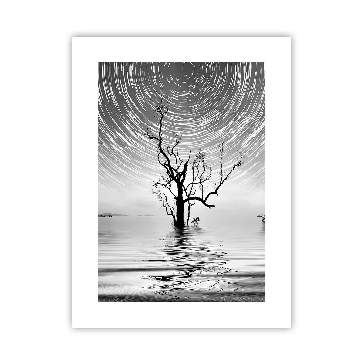 Poster - O simfonie a naturii - 30x40 cm