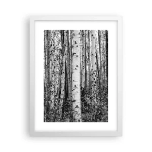 Poster în ramă albă - Coloane de mesteacăn - 30x40 cm