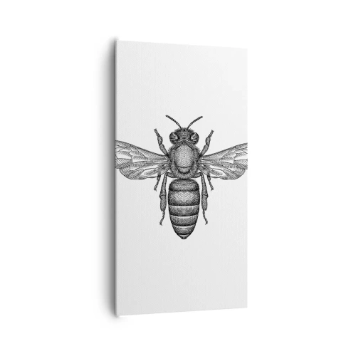 Tablou pe pânză - Portret de insectă - 65x120 cm