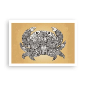 Poster - Poveștile Domnului Crab - 91x61 cm
