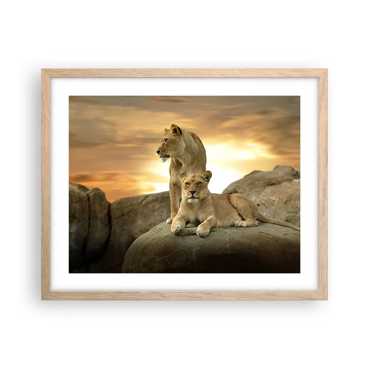 Poster în ramă de stejar deschis - Maiestate regală - 50x40 cm
