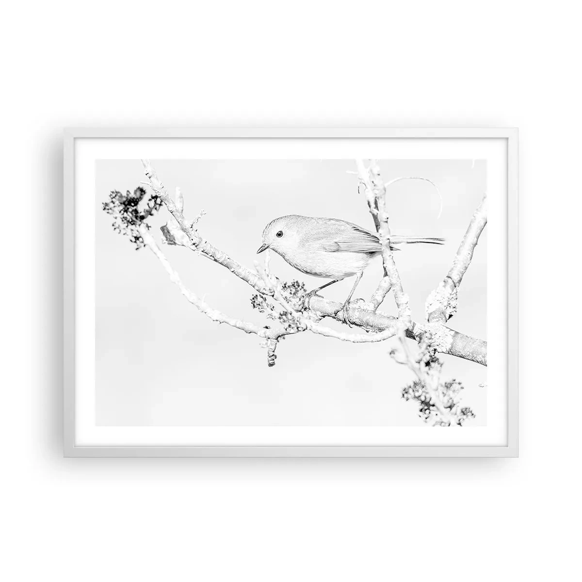 Poster în ramă albă - Dimineață de iarnă - 70x50 cm