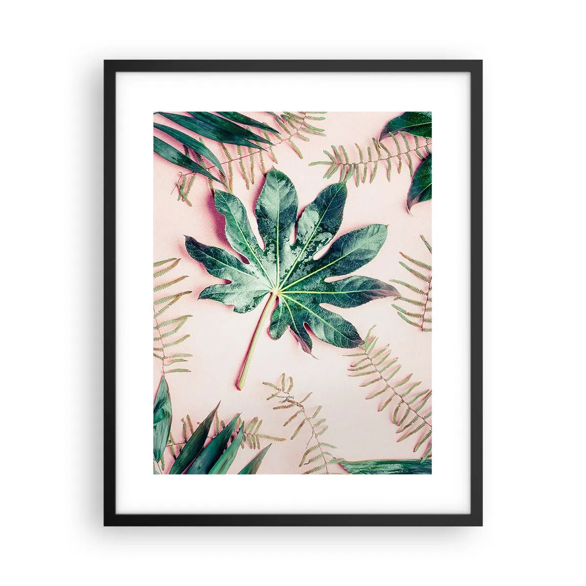 Poster în ramă neagră - Studiu de verdeață pe un fundal roz - 40x50 cm