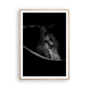 Poster în ramă de stejar deschis - Prințul negru - 70x100 cm