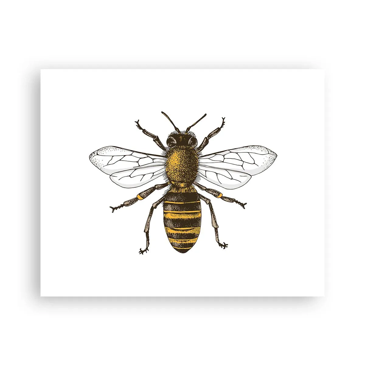 Poster - Frumoasă și bună - 50x40 cm