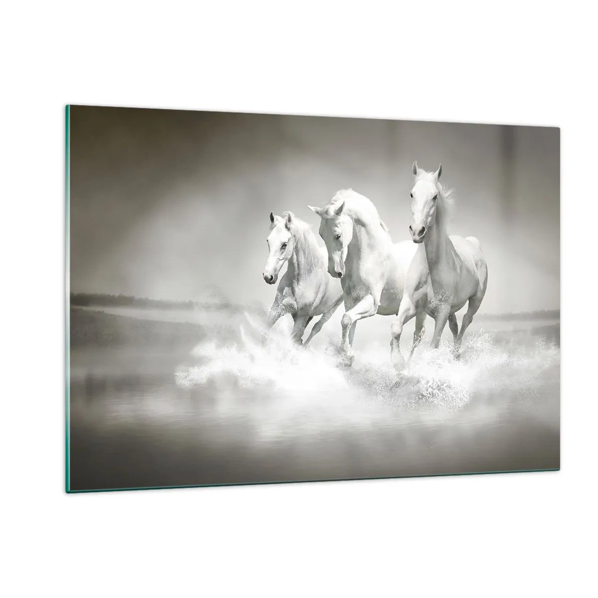 Tablou pe sticlă - Nebunie albă - 120x80 cm
