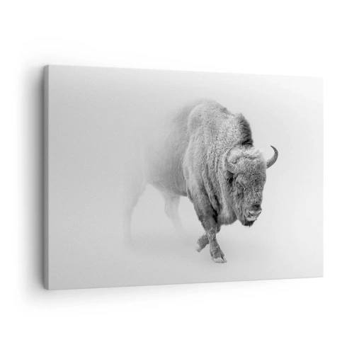 Tablou pe pânză Canvas - Bizon alb într-un decor minimalist - 70x50cm - Regele preriilor - Decorațiune modernă pentru perete pentru living și dormitor ARTTOR