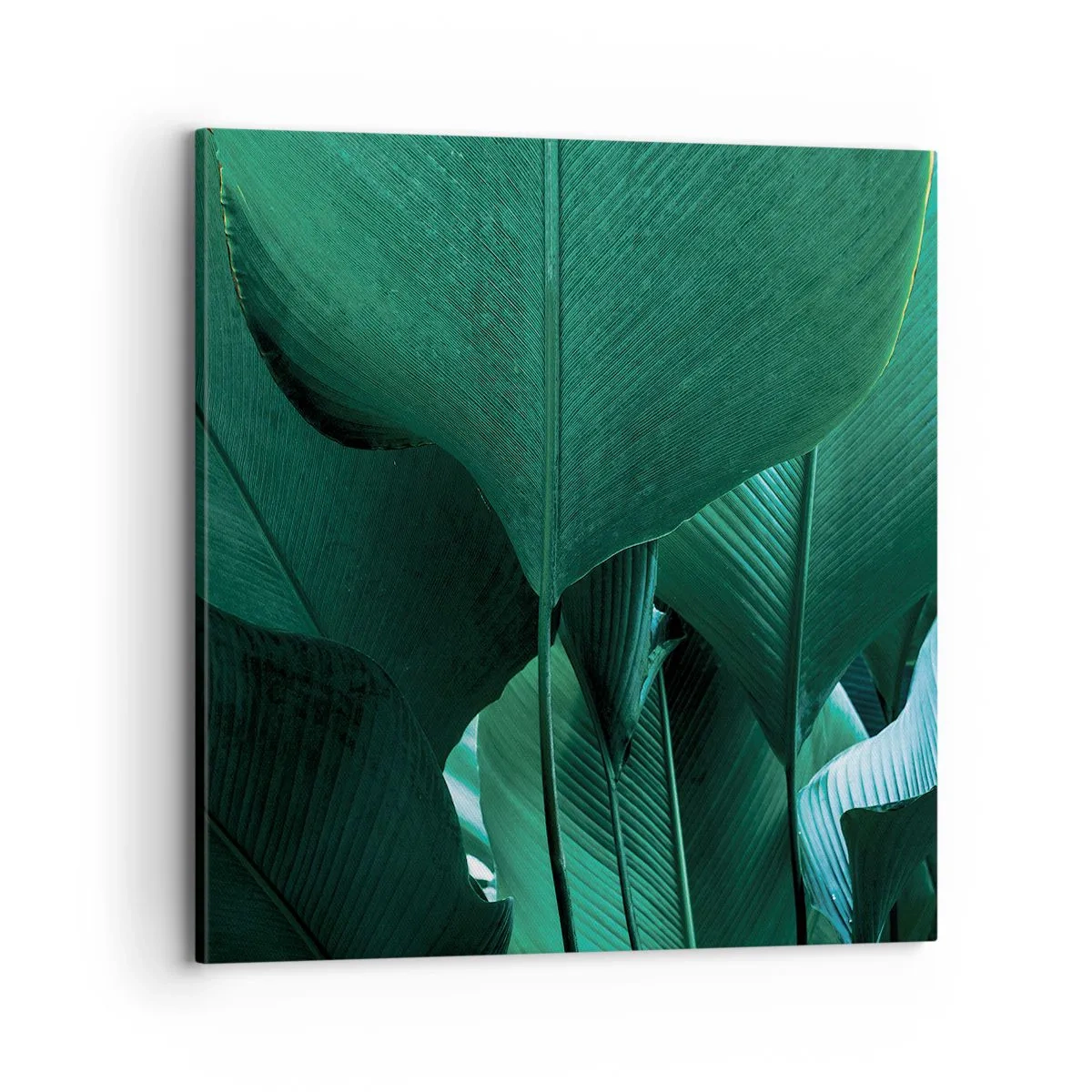 Tablou pe pânză - Cu frunza la lumină - 70x70 cm