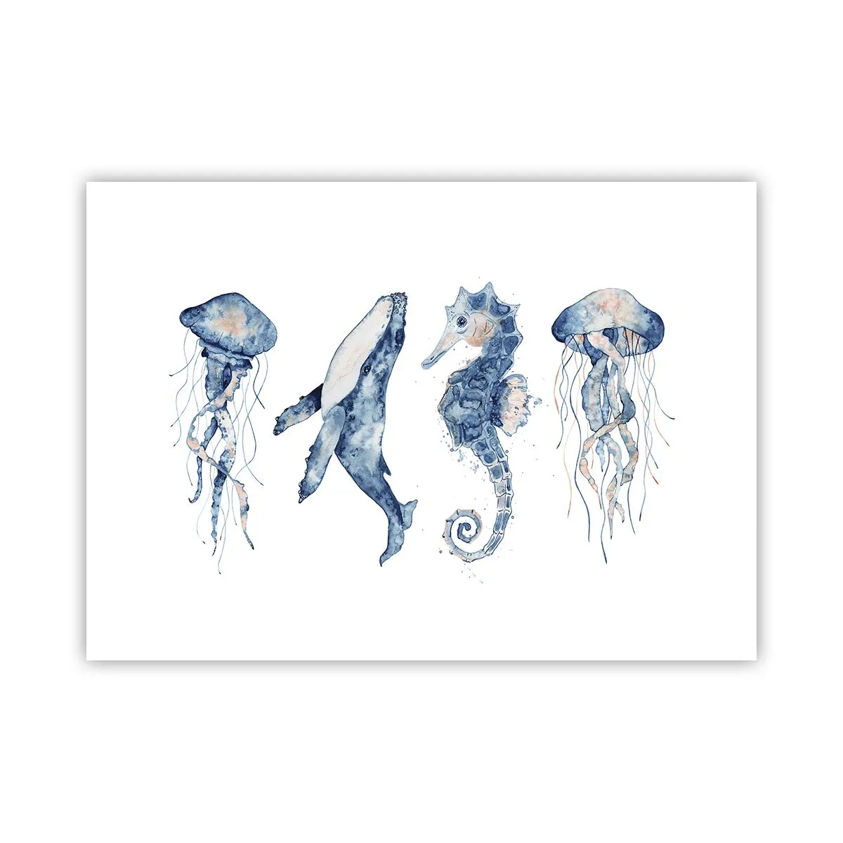 Poster - Fauna marină sălbatică - 70x50 cm
