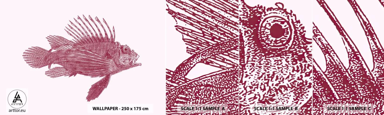 Mostră de Tapet Standard Eco - Un locuitor al apelor exotice - Peşte, Peștele leu, Tropical - 100x30 cm