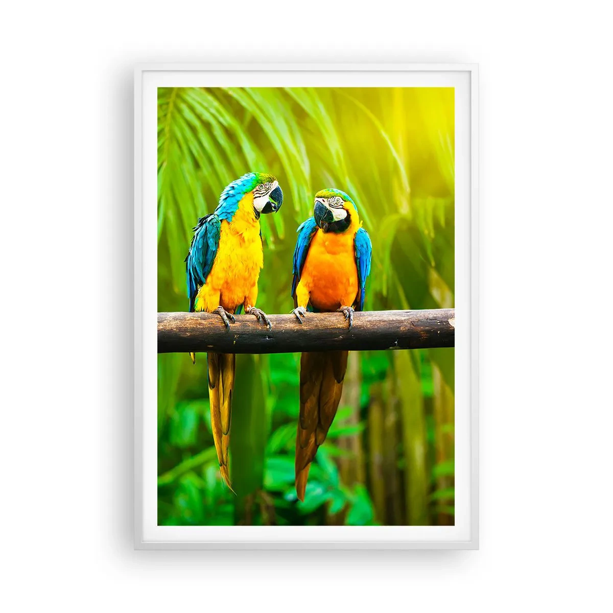 Poster în ramă albă - Și ai auzit că ea...? - 70x100 cm