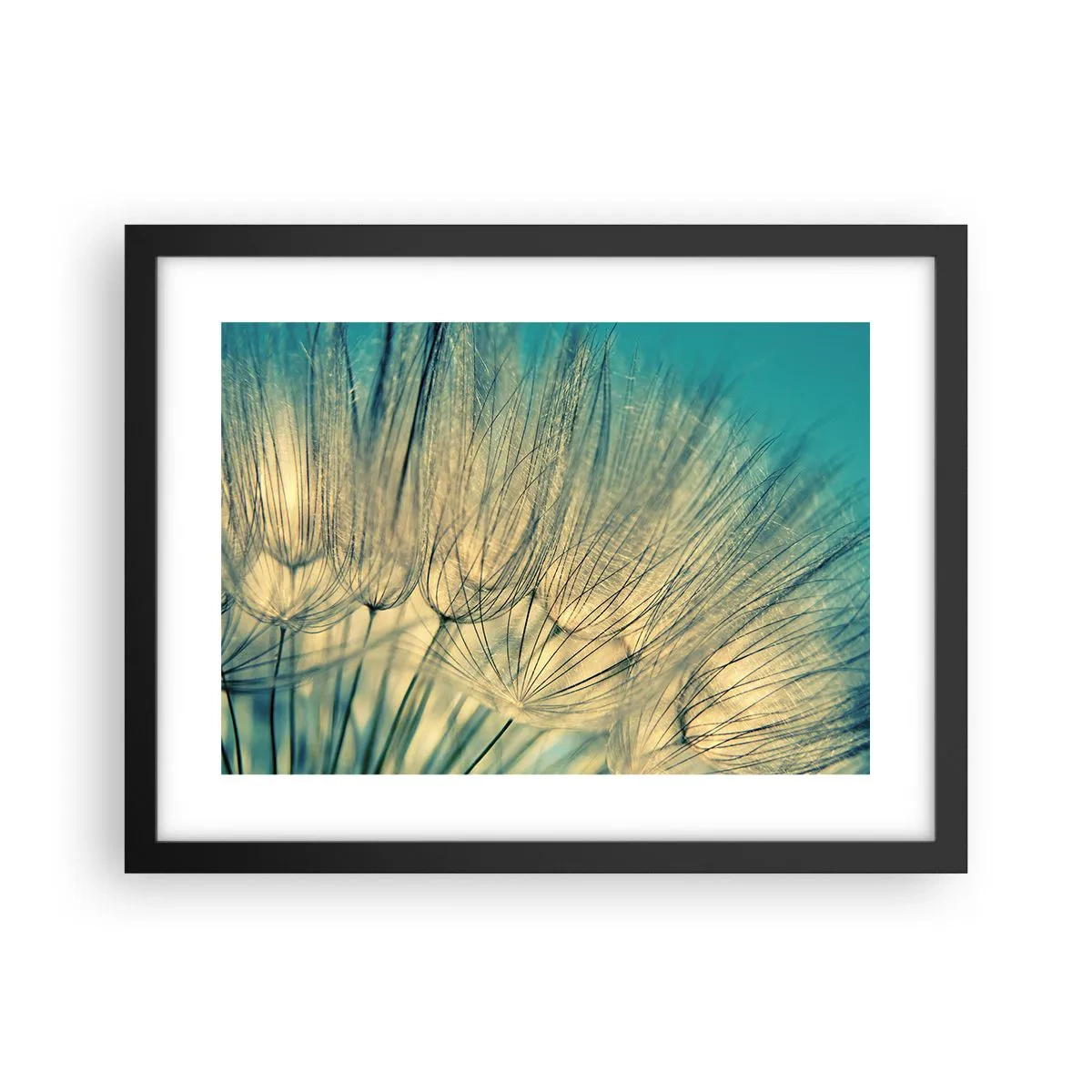 Poster în ramă neagră - Așteptând vântul - 40x30 cm