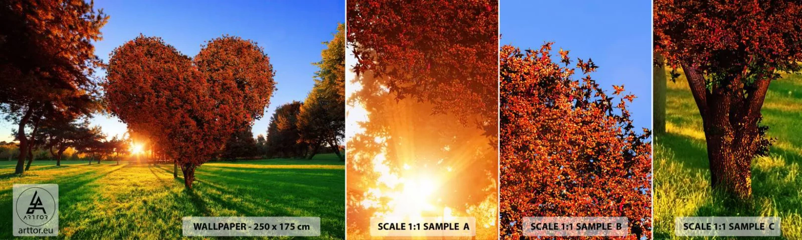 Mostră de Tapet Standard Eco - Și cum să nu iubești toamna? - Peisaj, Copac, Raze de soare - 100x30 cm