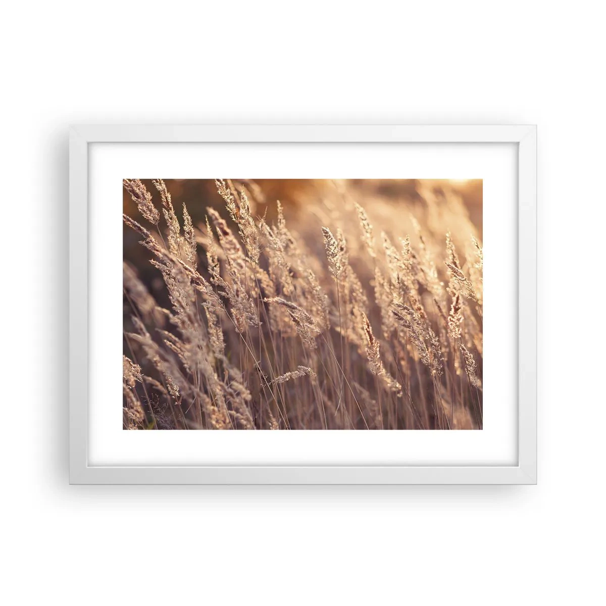 Poster în ramă albă - Gata să întâmpine toamna - 40x30 cm