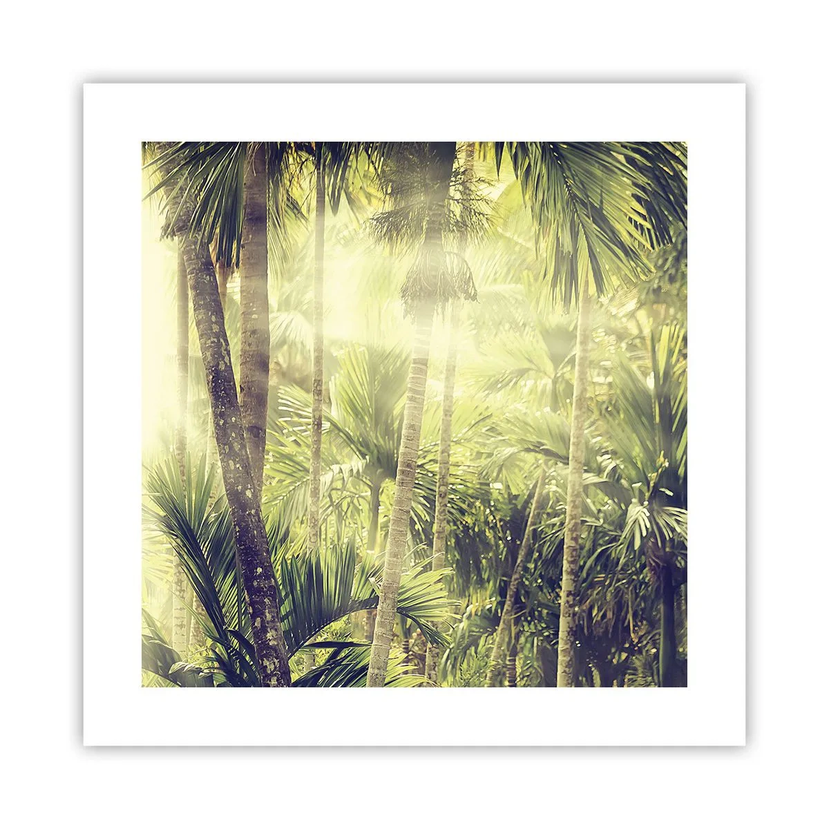 Poster - Ardoare verde - 40x40 cm