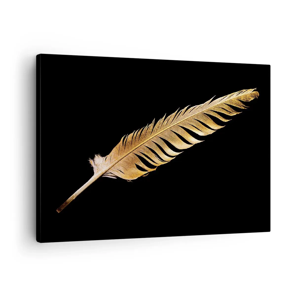 Tablou pe pânză Canvas - Pană de aur pe fundal negru - 70x50cm - Pană aurie perfectă - Decorațiune modernă pentru perete pentru living și dormitor ARTTOR