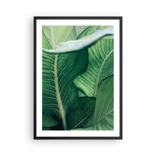 Poster în ramă neagră - Prim-plan al frunzelor verzi ale unei plante - 50x70cm - Viață intensă în verde - Decorațiune modernă pentru perete pentru living și dormitor ARTTOR
