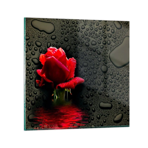 Tablou pe sticlă - Roșu și negru - 60x60 cm