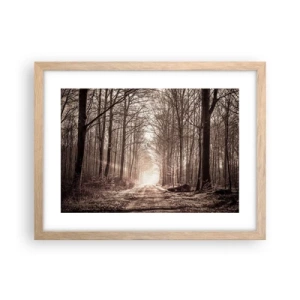 Poster în ramă de stejar deschis - Catedrala Forestieră - 40x30 cm