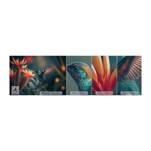 Mostră tapet Premium Canvas - Viață cu adevărat colorată - Pasăre, Exotic, Floare - 100x30 cm