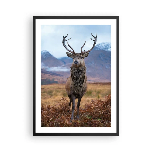 Poster în ramă neagră - Un cerb mândru pe fundalul unui munte - 50x70cm - Pe propriul lui teritoriu - Decorațiune modernă pentru perete pentru living și dormitor ARTTOR