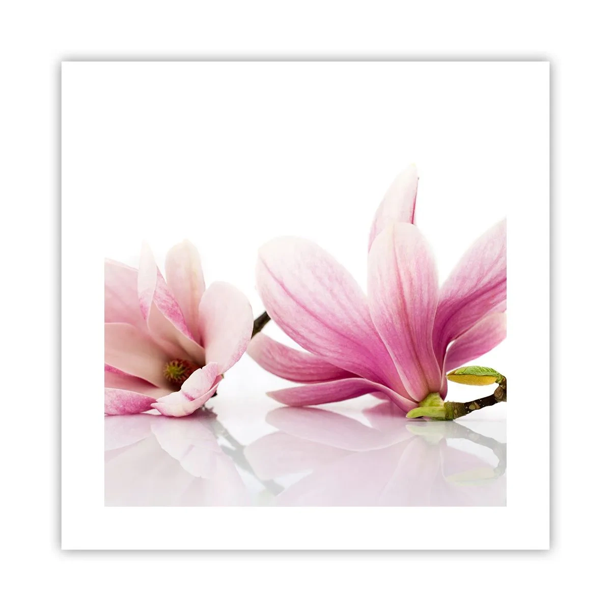 Poster - Delicate ca o adiere de primăvară - 40x40 cm