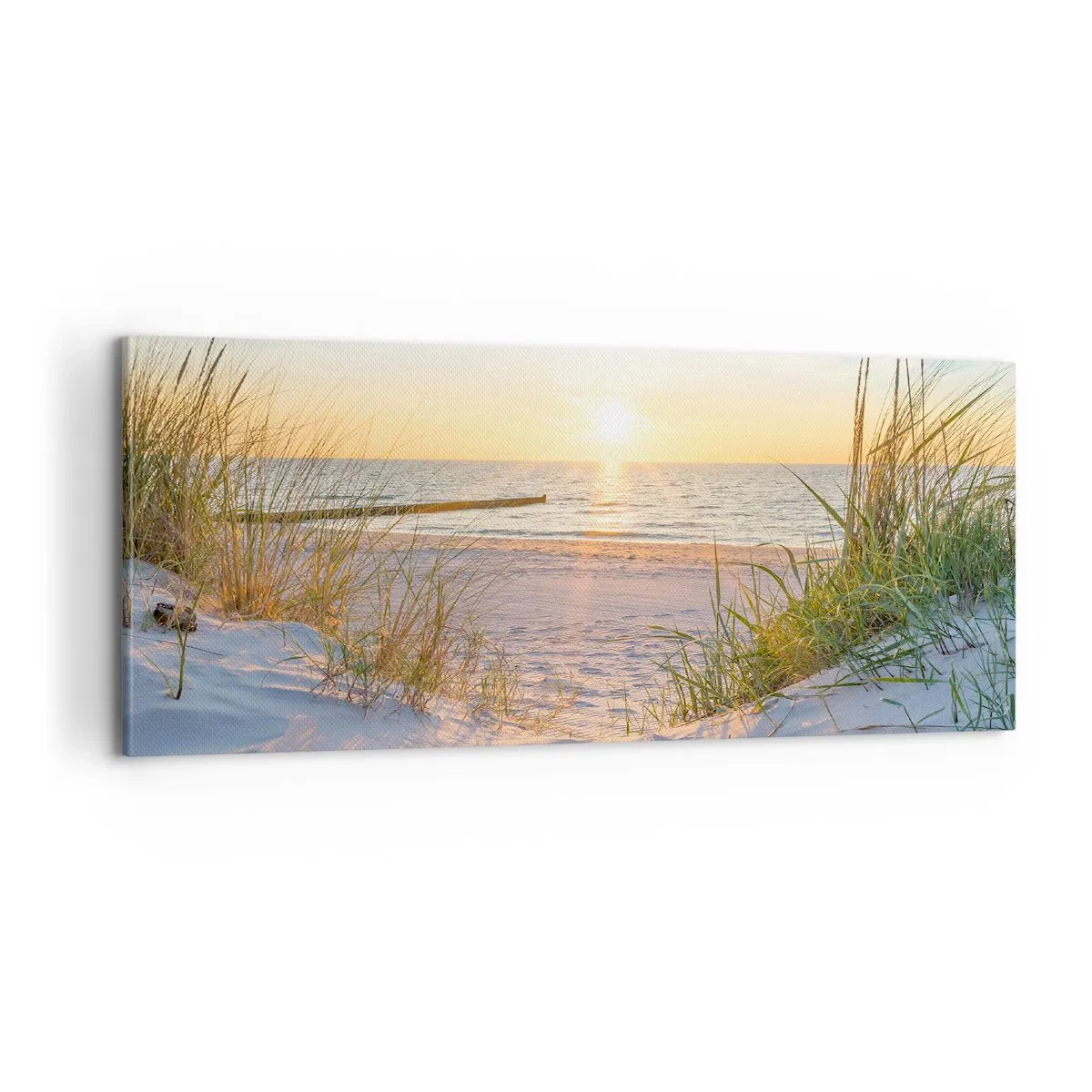 Tablou pe pânză - Zumzet de mare, o plajă sălbatică printre ierburi... - 100x40 cm