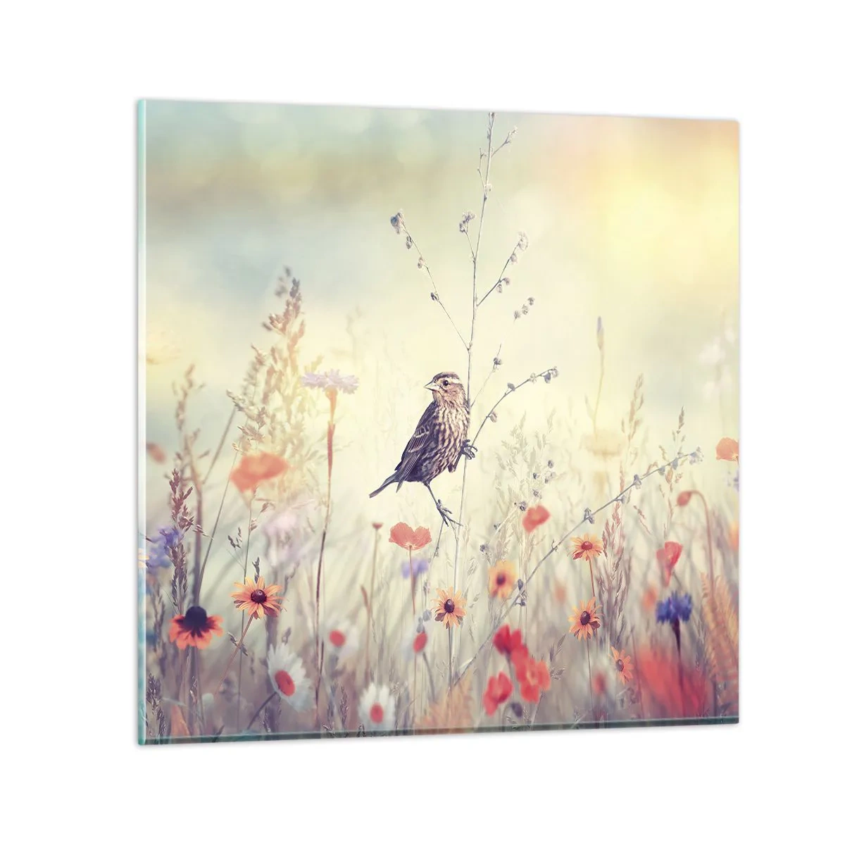 Tablou pe sticlă - Portret de pasăre cu o pajiște în fundal - 40x40 cm