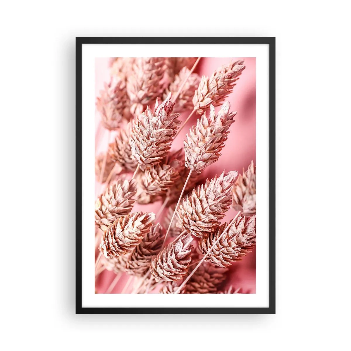 Poster în ramă neagră - Prim-plan al spicelor de cereale uscate pe un fundal roz - 50x70cm - Cascadă florală în roz - Decorațiune modernă pentru perete pentru living și dormitor ARTTOR