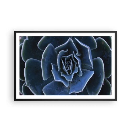 Poster în ramă neagră - Floare de deșert - 91x61 cm