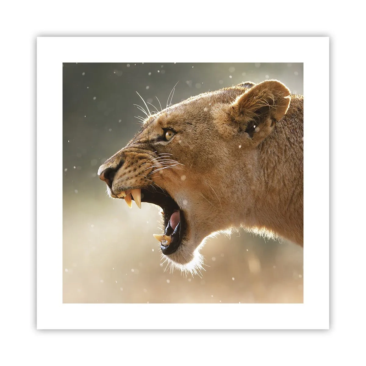 Poster - Încearcă să nu asculți - 40x40 cm