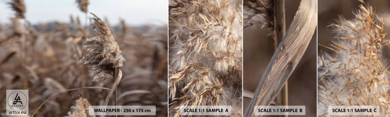 Mostră tapet autocolant Deluxe Sticker - E timpul să zbori cu vântul - luncă, Iarbă de pampas, Natură - 100x30 cm