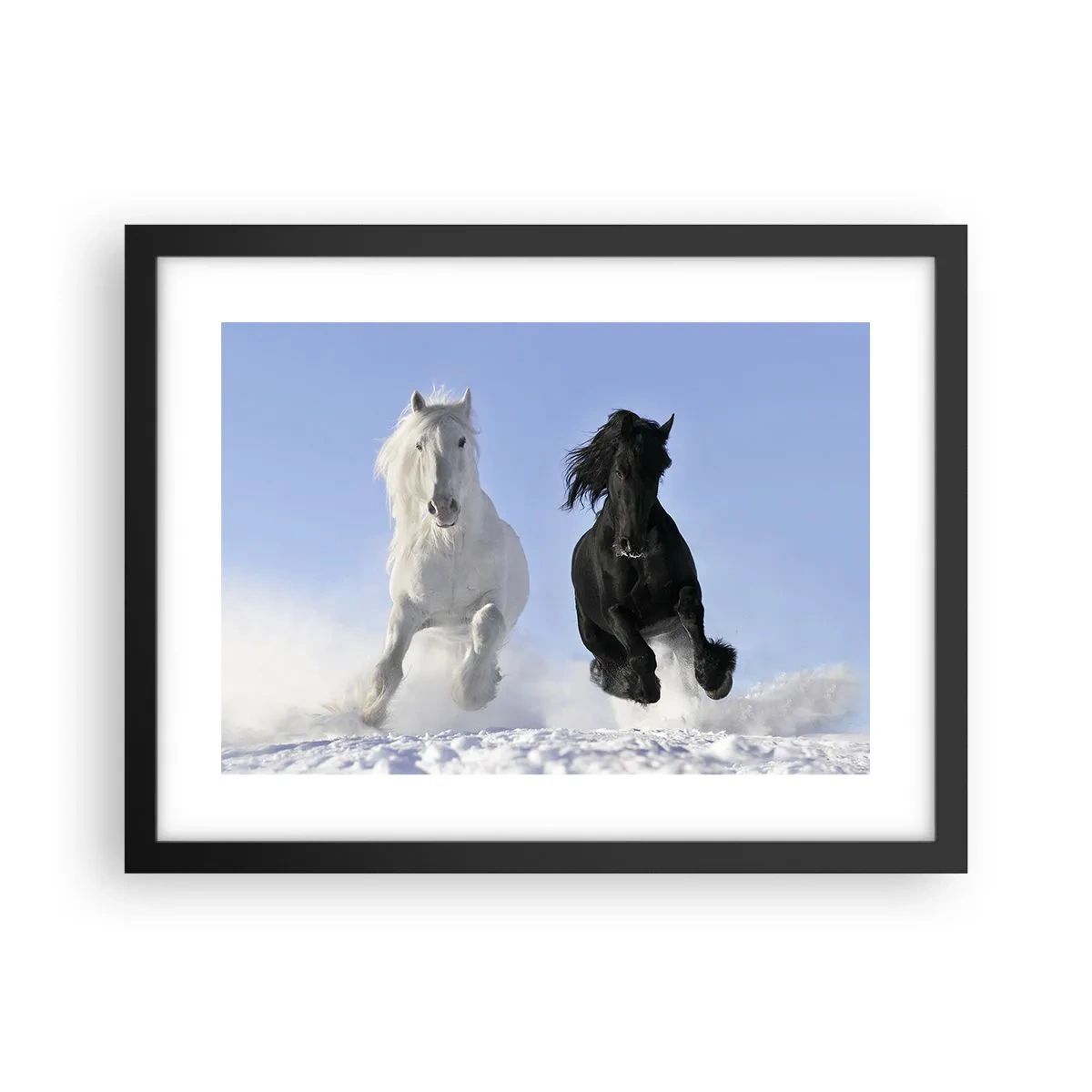 Poster în ramă neagră - Galop de alb și negru - 40x30 cm