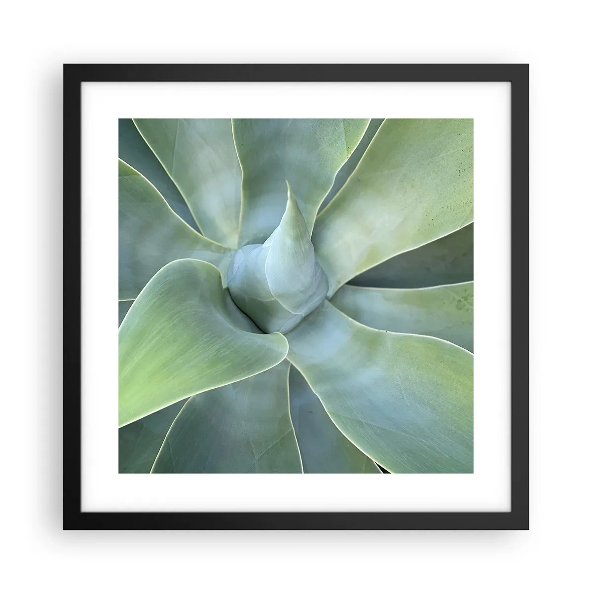 Poster în ramă neagră - Nașterea verdeții - 40x40 cm