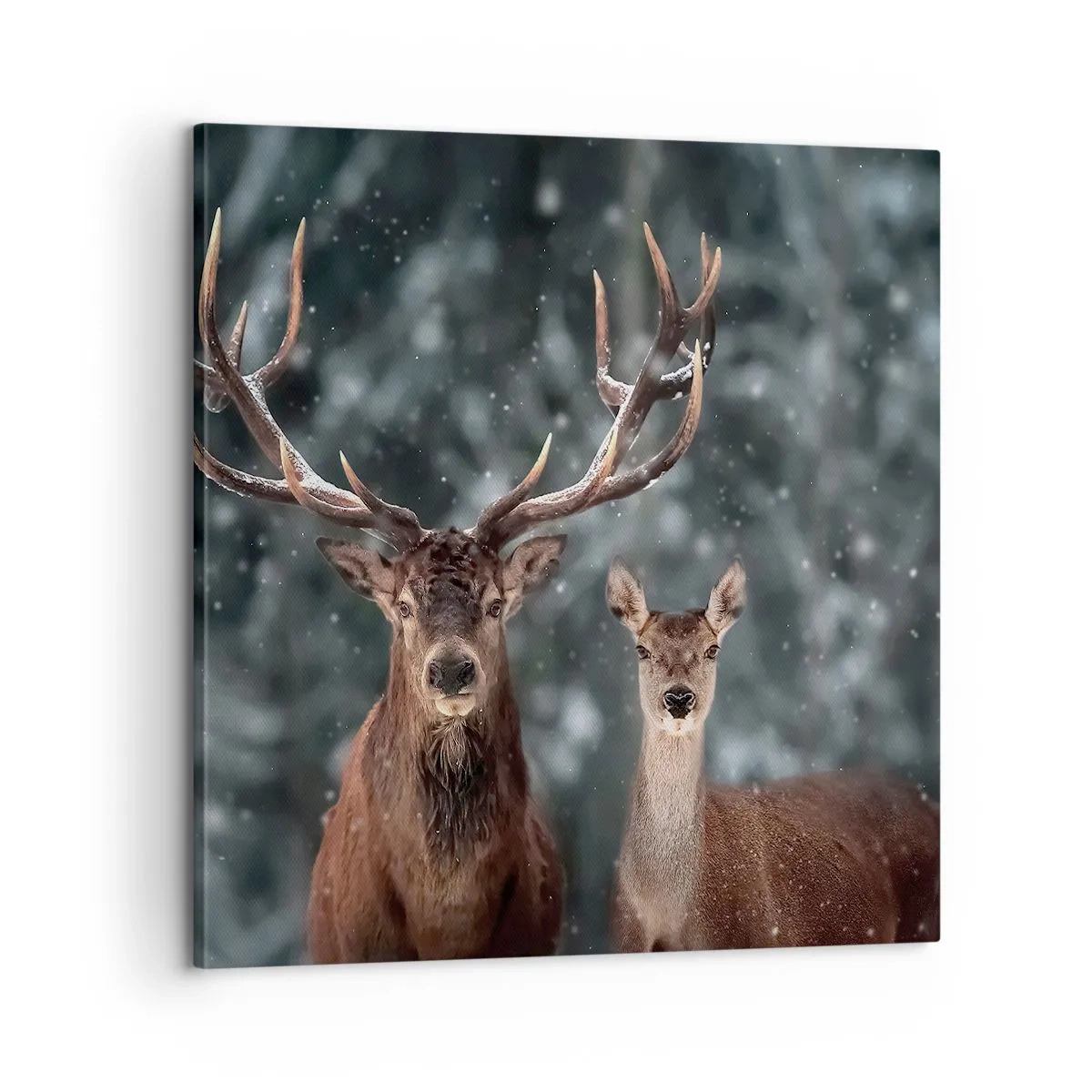 Tablou pe pânză - Stăpânul pădurii și soția sa - 60x60 cm