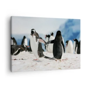Tablou pe pânză Canvas - Un grup de pinguini în zăpadă într-un peisaj antarctic - 70x50cm - Dansul în zăpadă - Decorațiune modernă pentru perete pentru living și dormitor ARTTOR