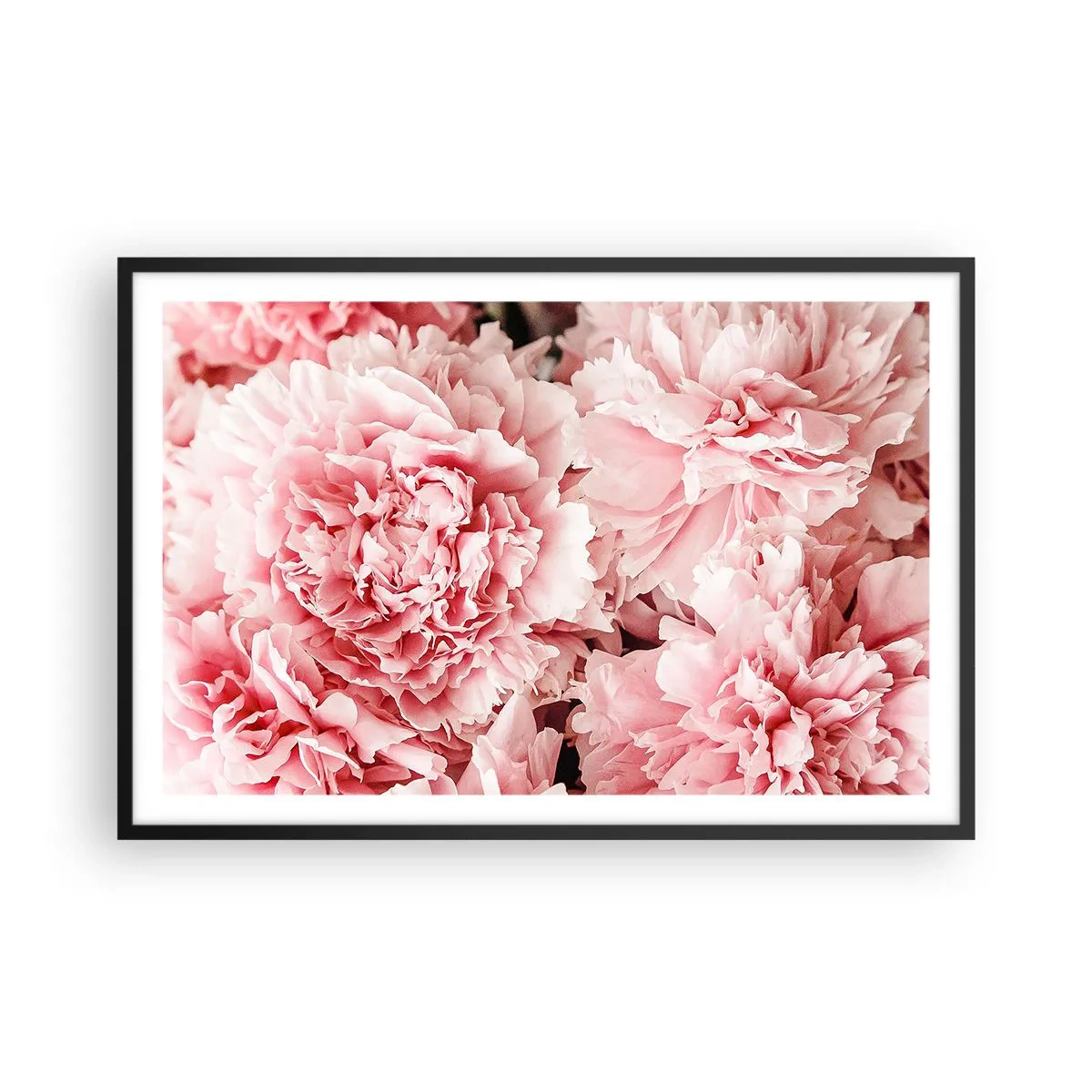Poster în ramă neagră - Visul roz - 91x61 cm