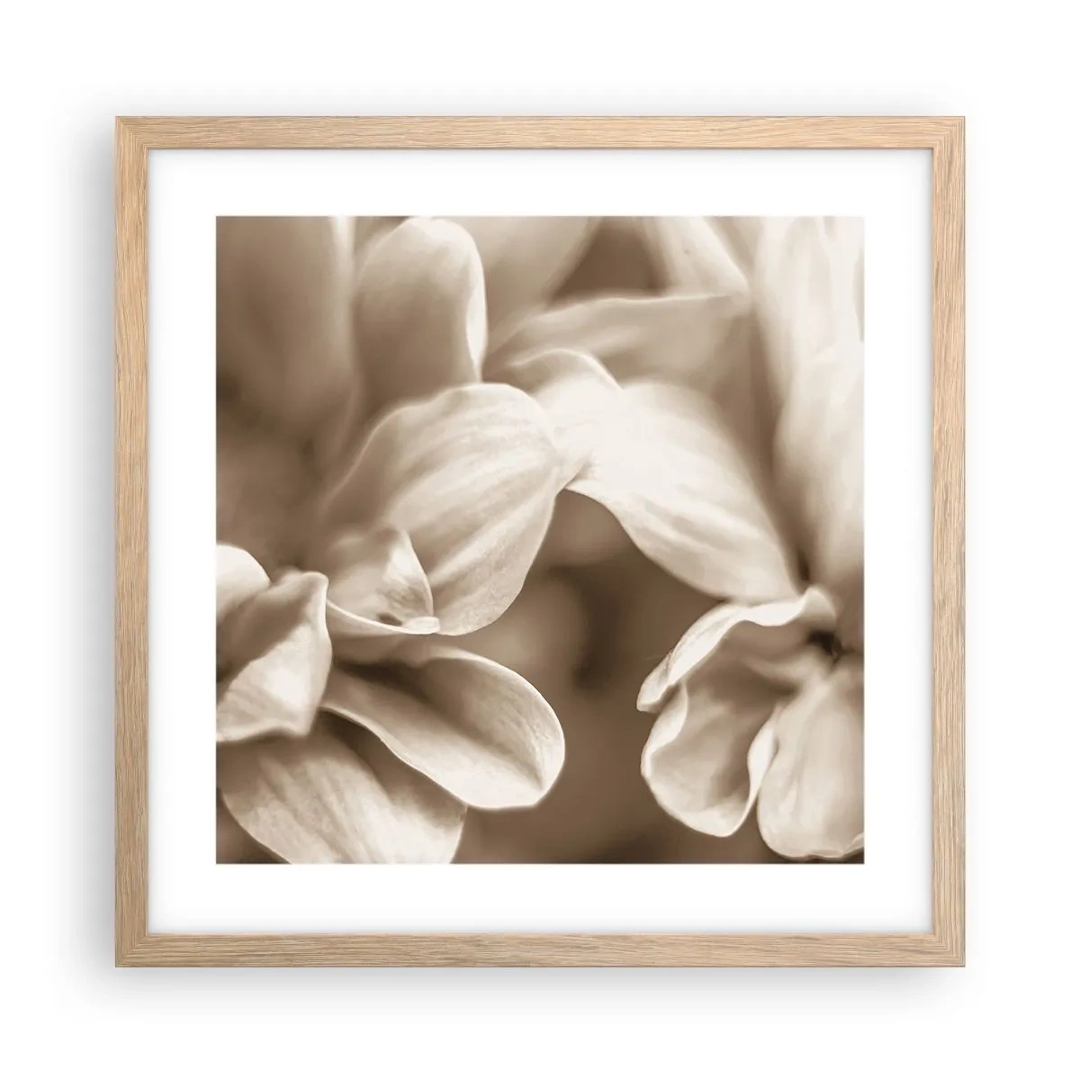 Poster în ramă de stejar deschis - Blânde ca un zâmbet - 40x40 cm