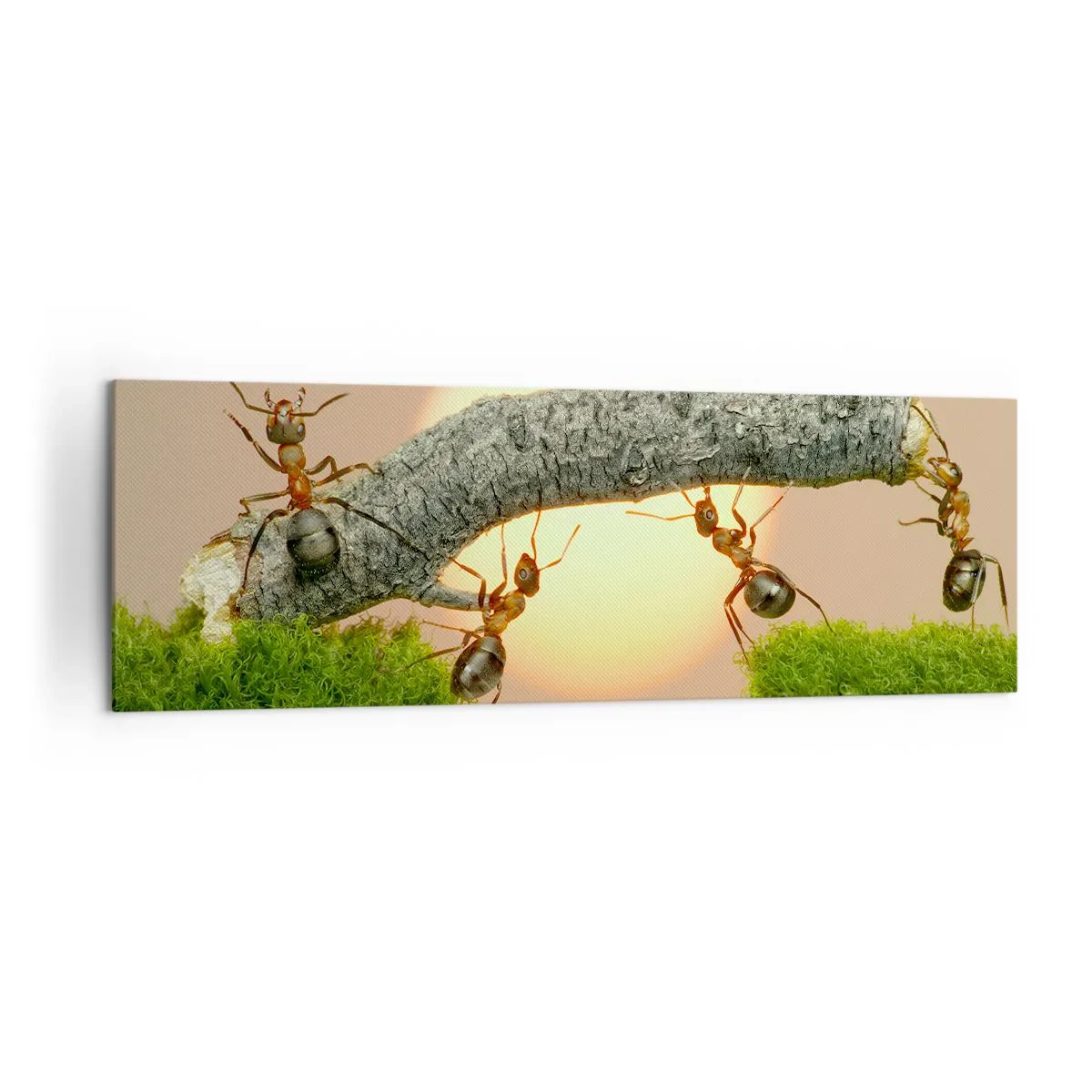 Tablou pe pânză - Cooperare veselă - 160x50 cm