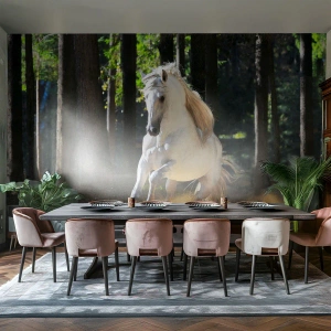 Tapet Standard Eco - Ca într-un roman fantastic - Animale, Cal, Peisaj - 400x280 cm